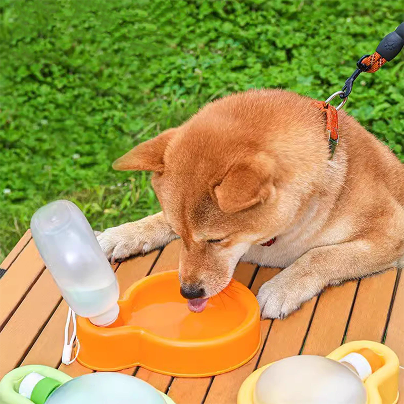 Foldable Pet Bottle