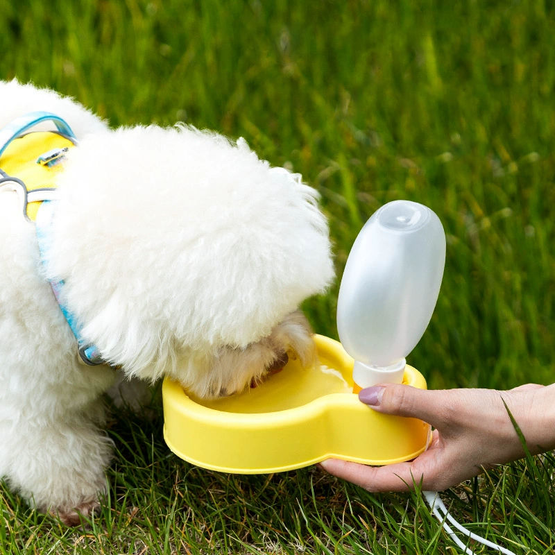 Foldable Pet Bottle