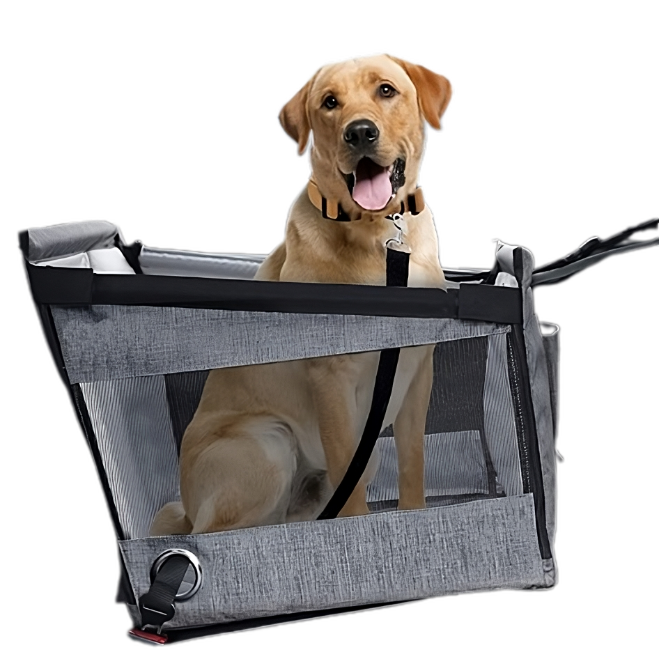 Dog Travel Carrier