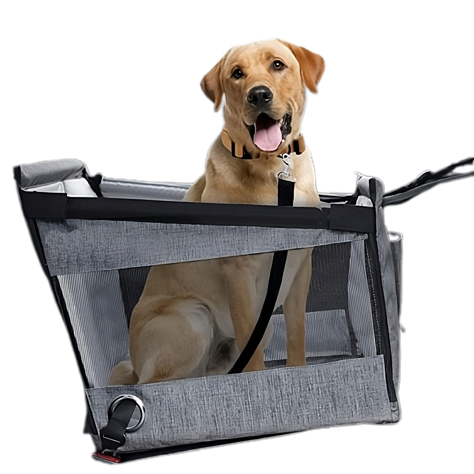 PawVenture Travel Carrier