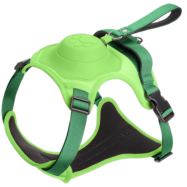 ComfyWalk Harness & Leash