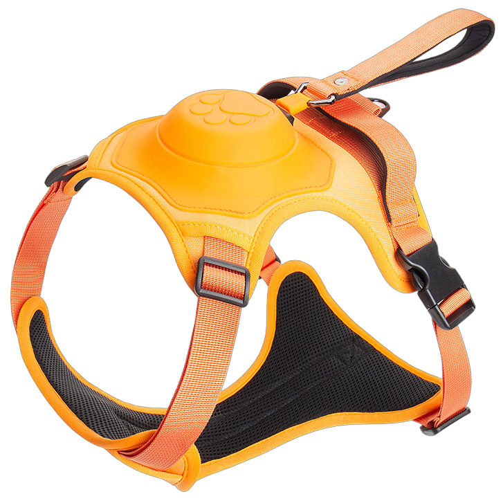 ComfyWalk Harness & Leash