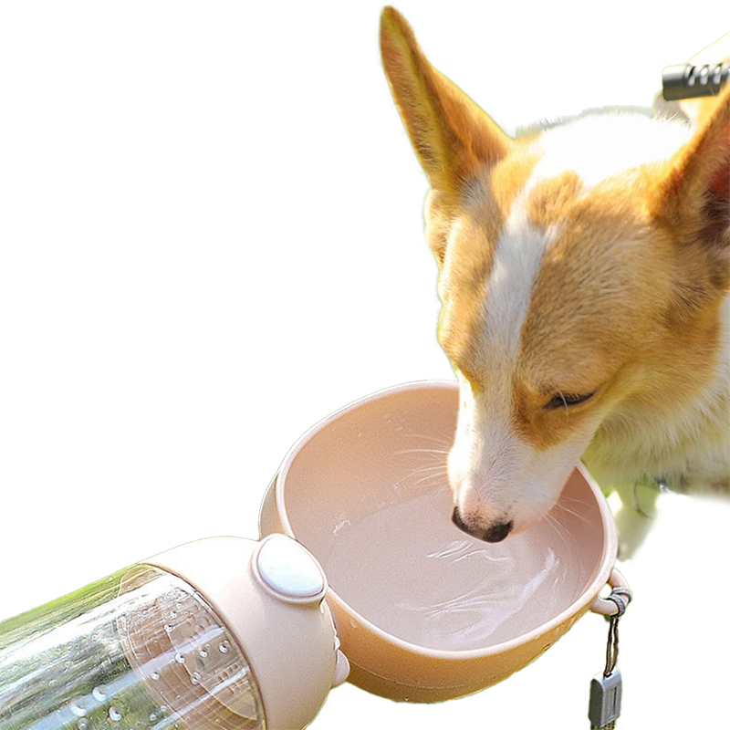 Pet Bottle
