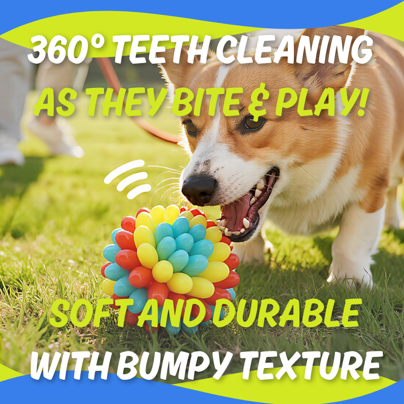 Colorful Chewing Toy