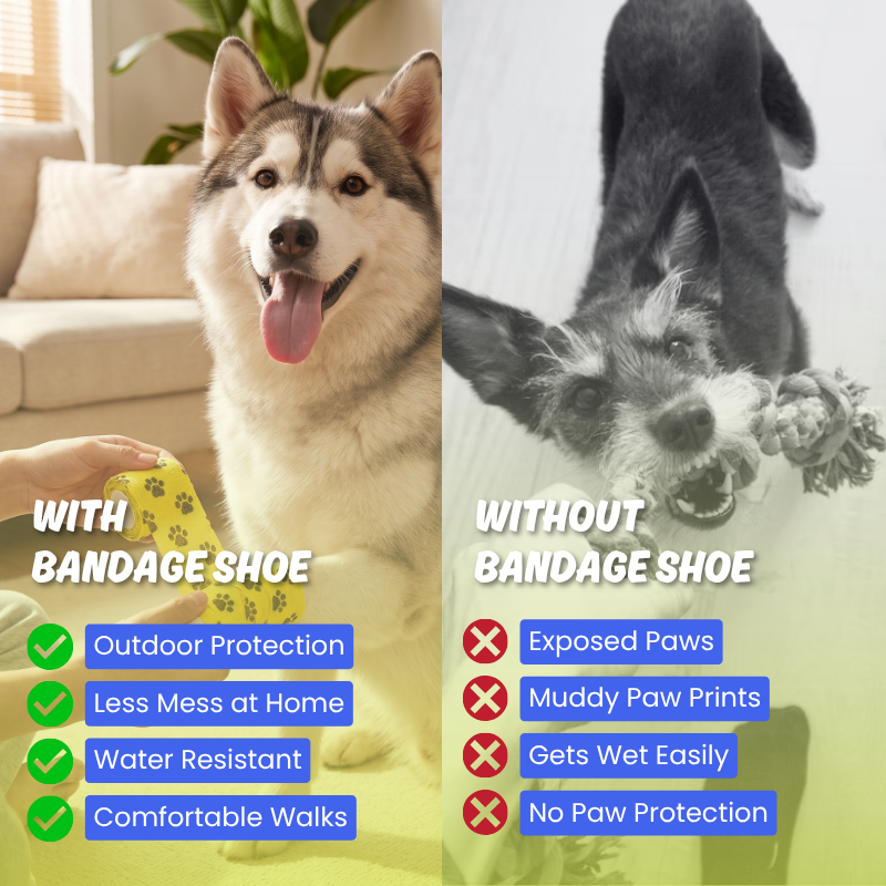 Bandage Shoe