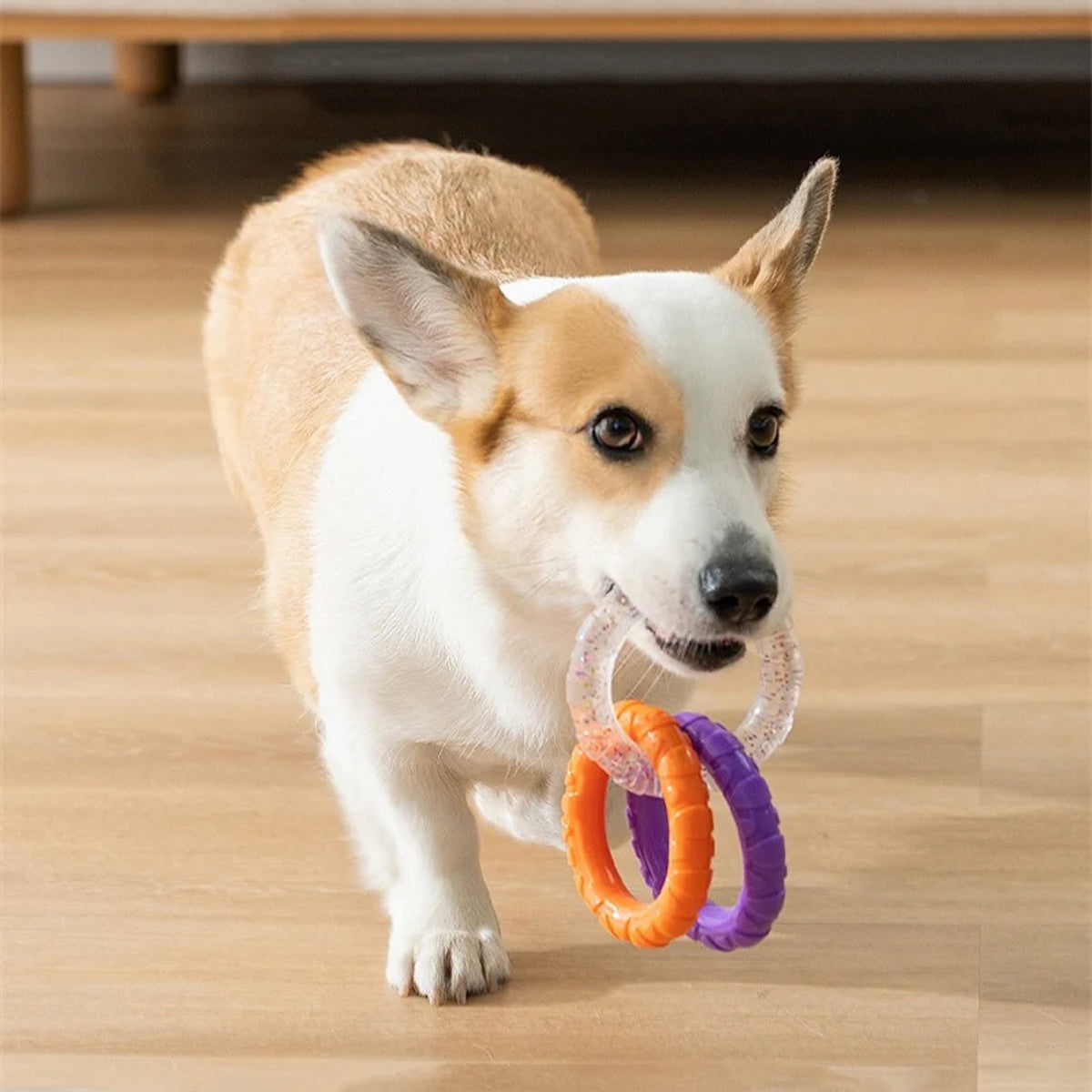 Pull Ring Toy