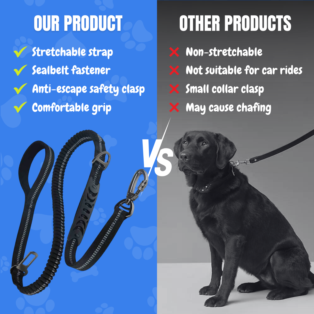 2-in-1 Safety Strap Leash