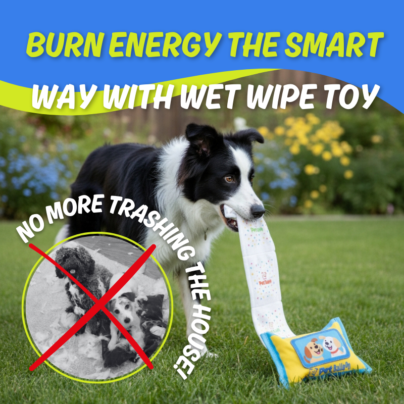 Wet Wipe Toy