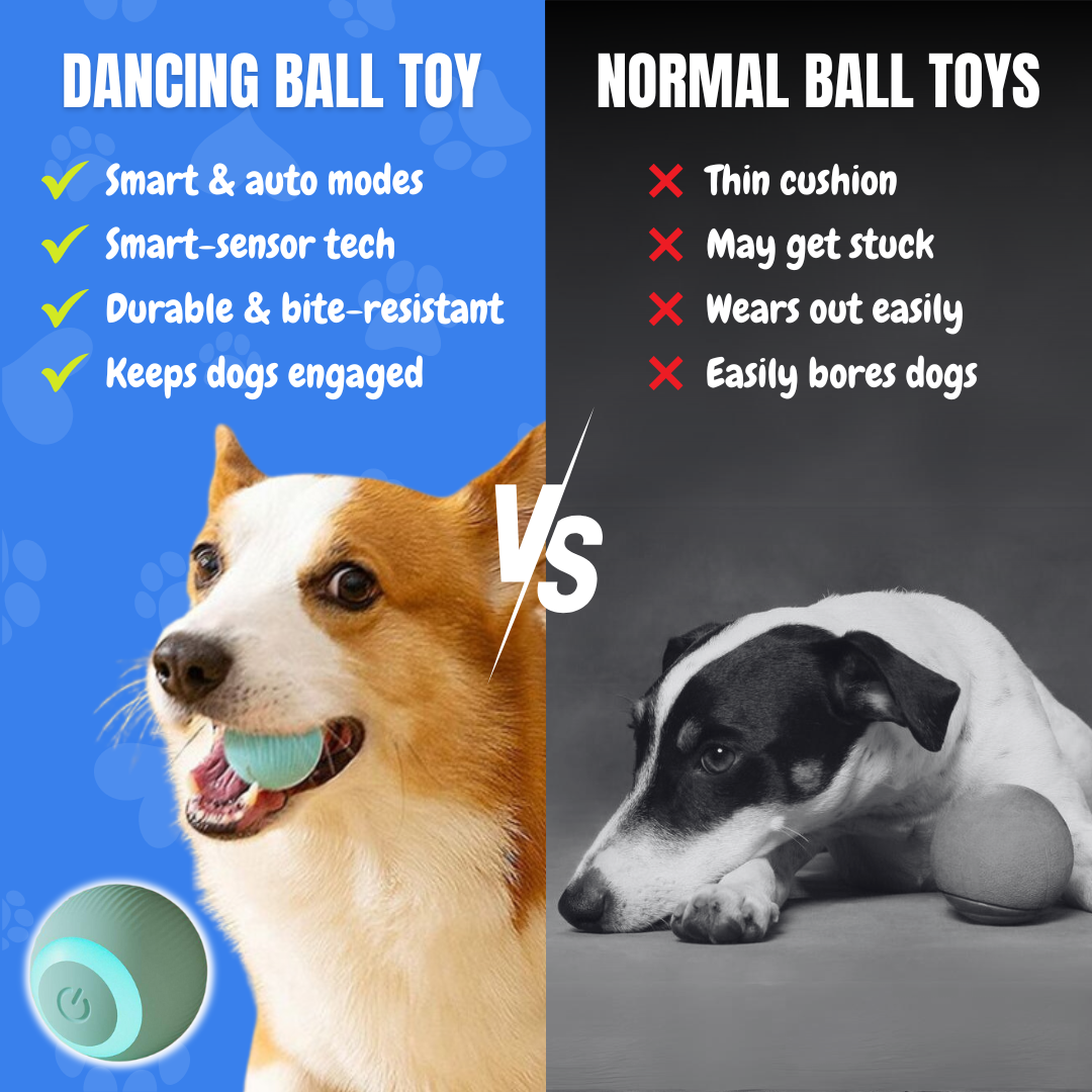 Dancing Ball Toy