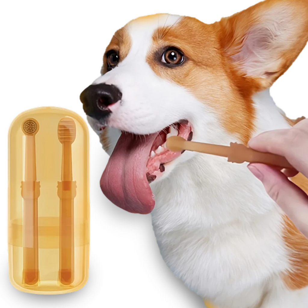 Pet dog toothbrush best sale