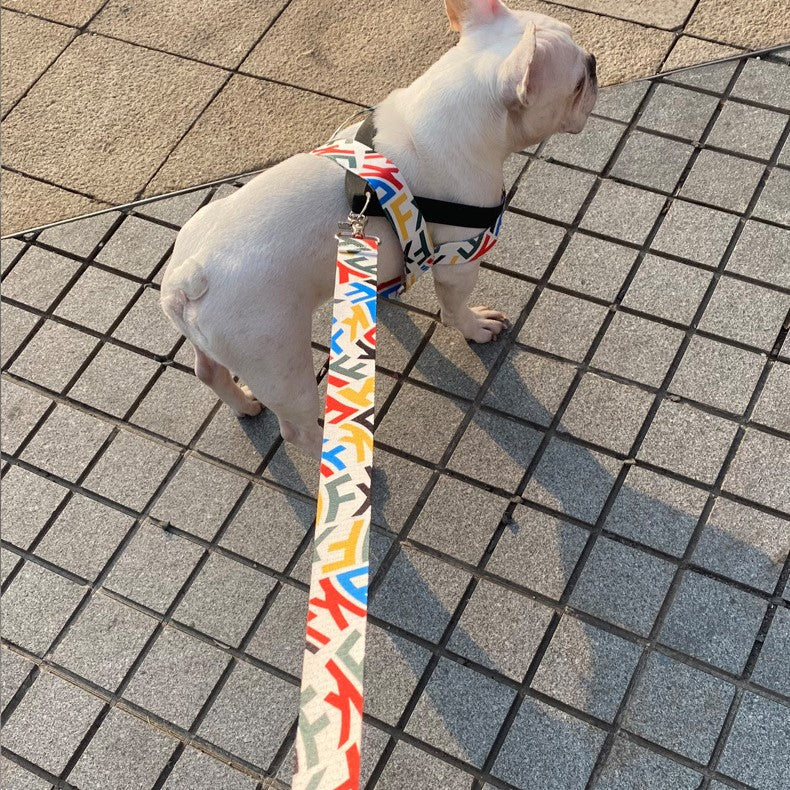 Hands-Free Leash