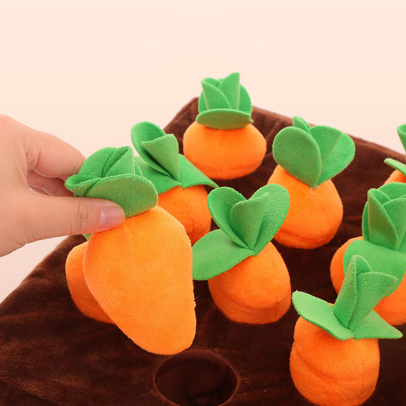 Carrot Farm Toy