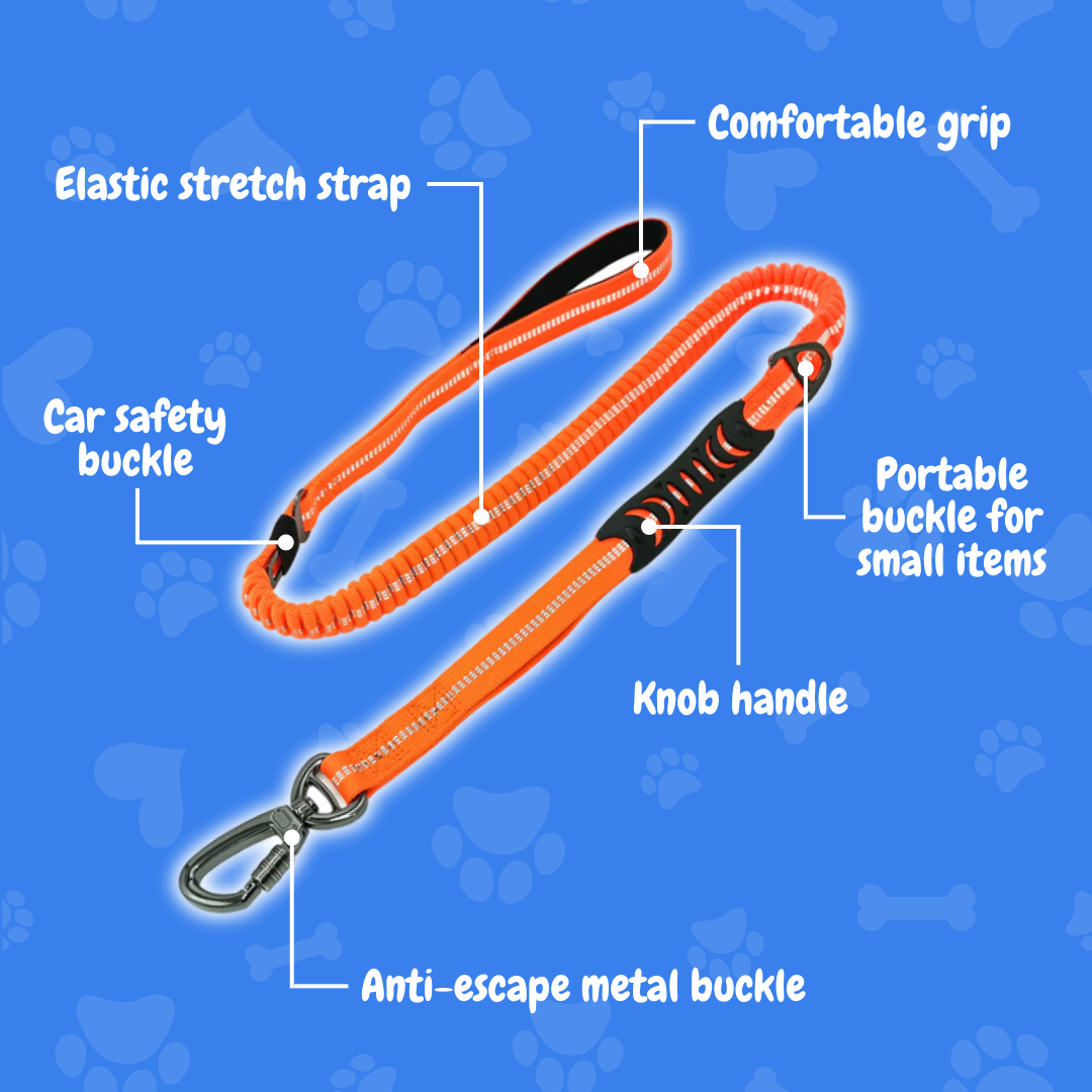 2-in-1 Safety Strap Leash