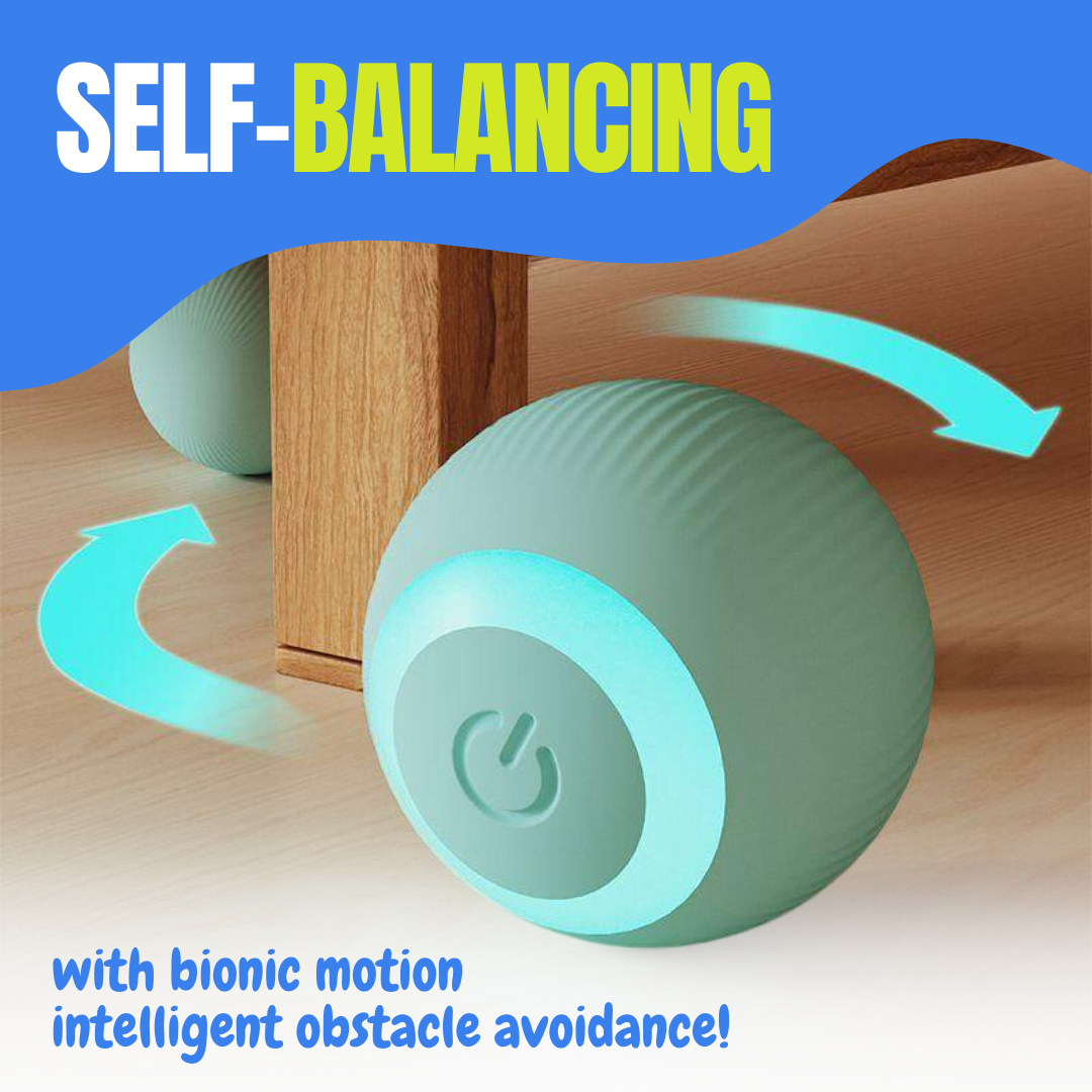 Dancing Ball Toy