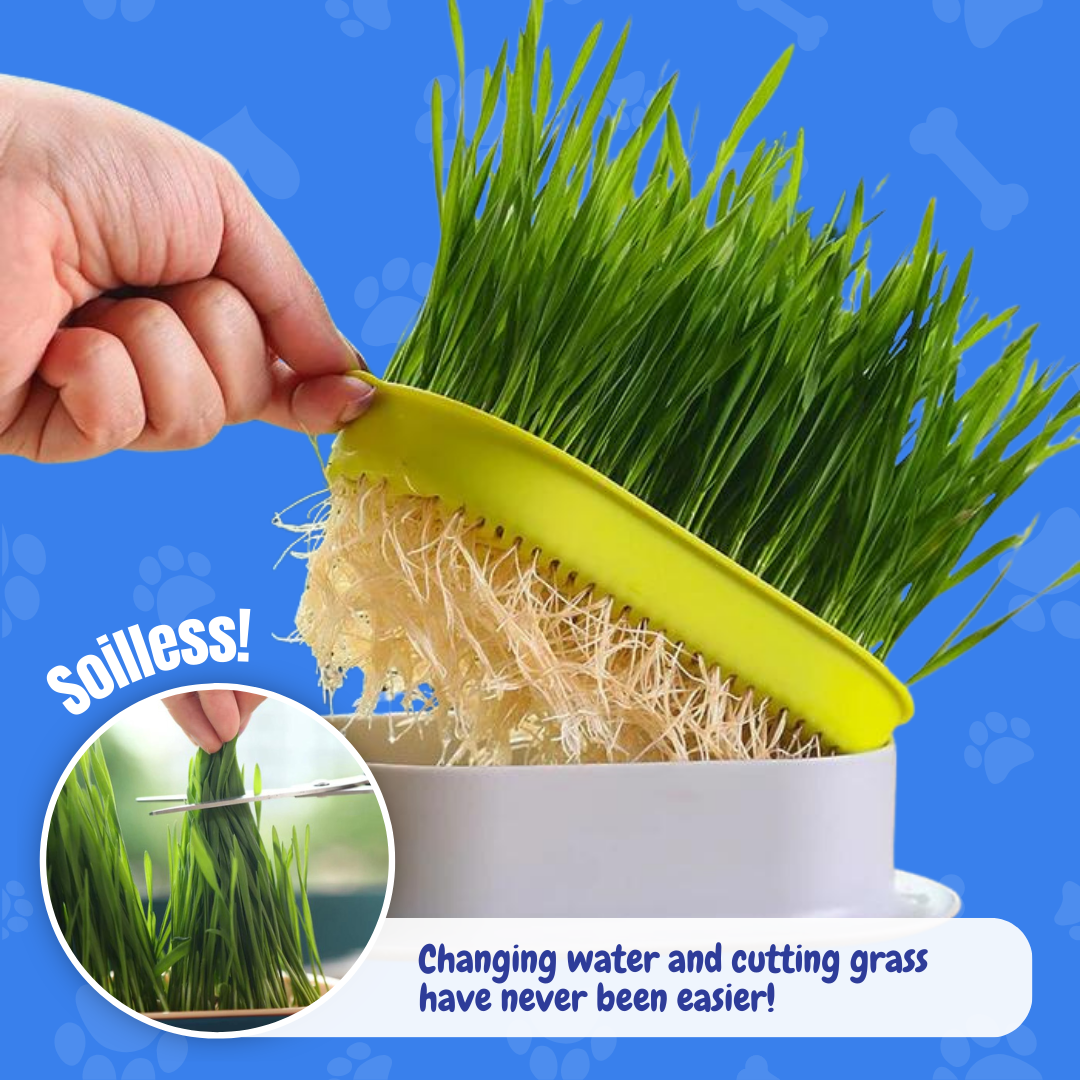 Easy Grass Grower