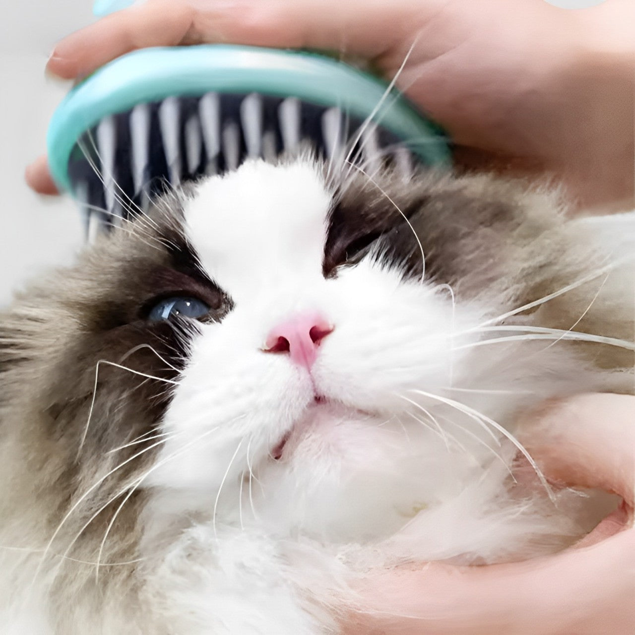 No-slip Bath Brush