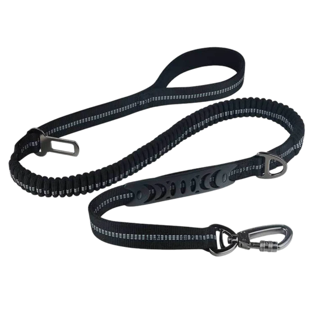 2-in-1 Safety Strap Leash