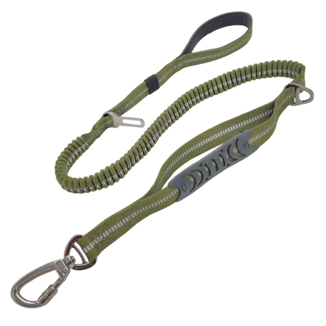 2-in-1 Safety Strap Leash