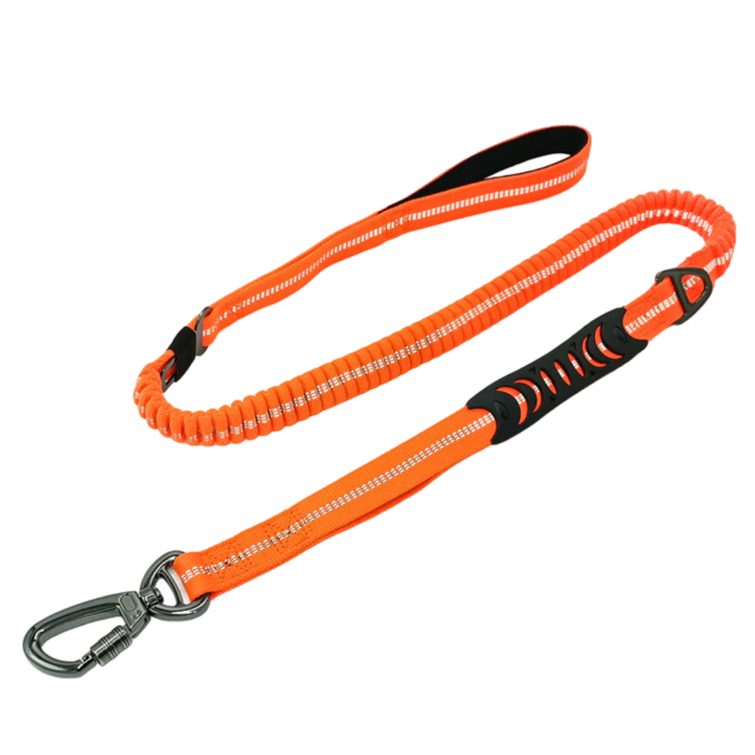 2-in-1 Safety Strap Leash