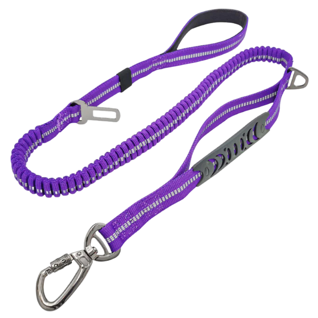 2-in-1 Safety Strap Leash