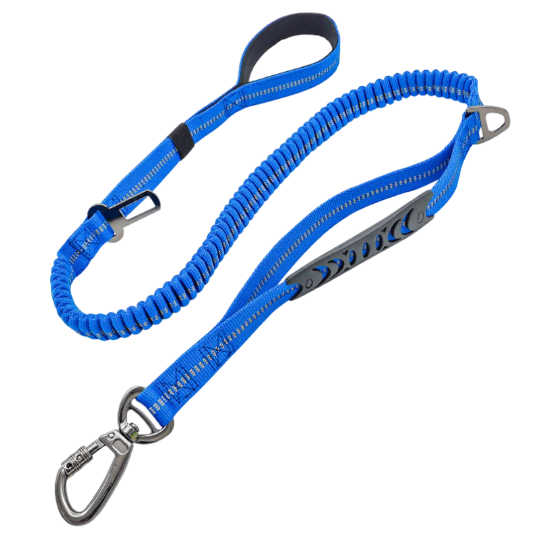 2-in-1 Safety Strap Leash