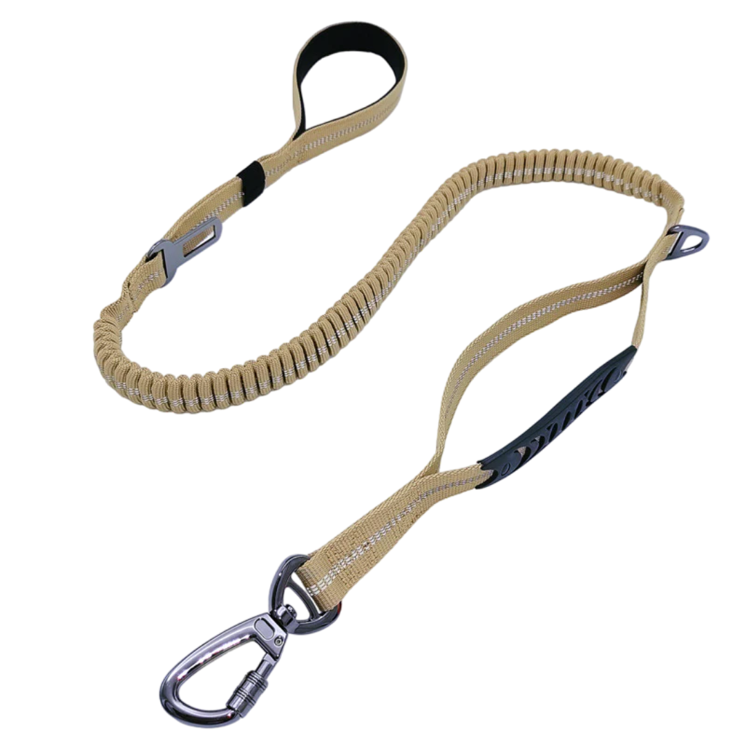 2-in-1 Safety Strap Leash