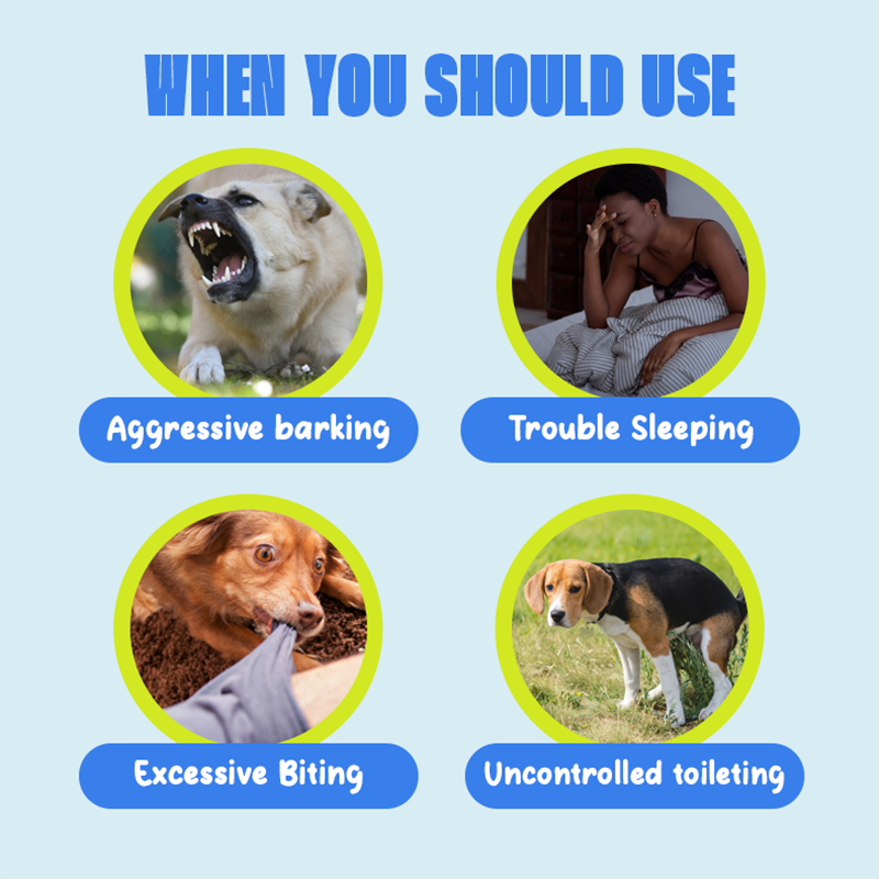 Anti Bark Device