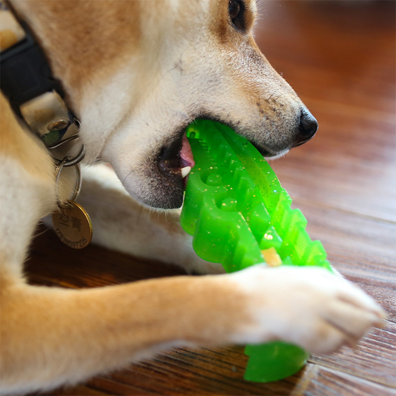 Fillable Crocodile Treat Toy