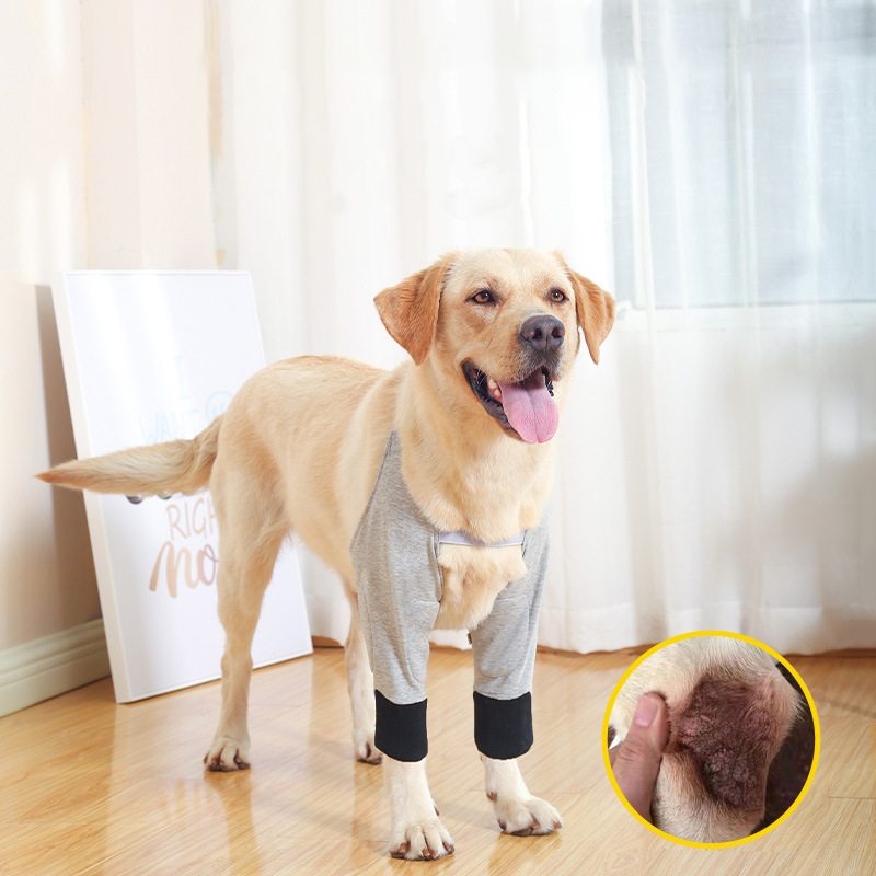 Dog Elbow Protector