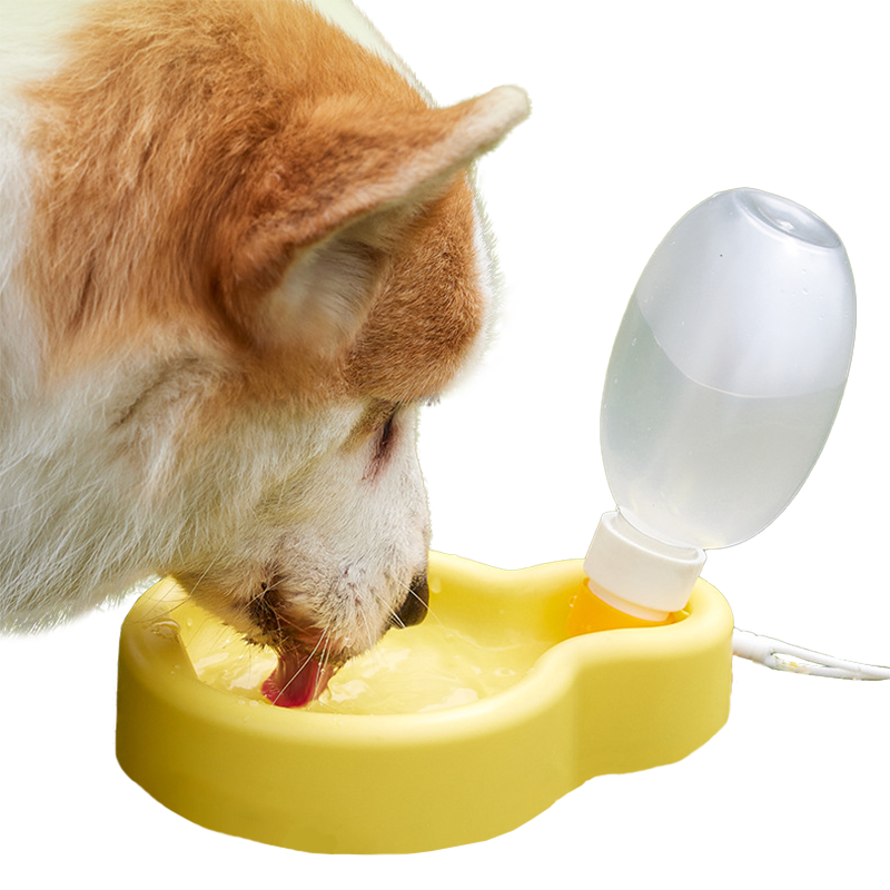 Foldable Pet Bottle