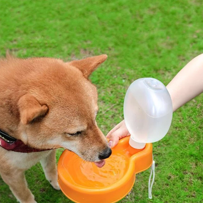 Foldable Pet Bottle